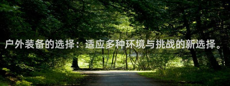 新宝GG玩家