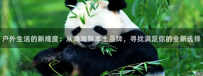 新宝gg娱乐平台