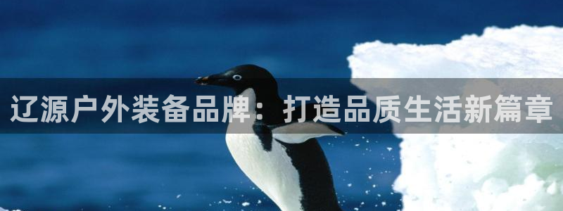 新宝gg类似