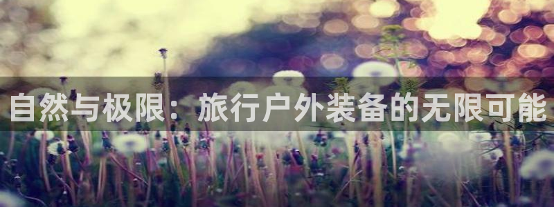 新宝gg怎样代理
