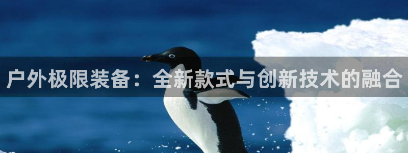 新宝gg如何做到总代理