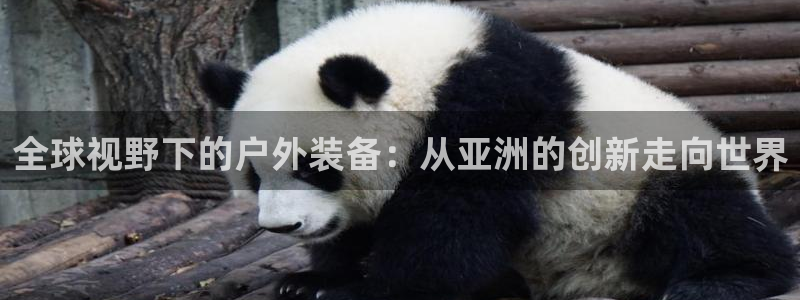 新宝gg盈亏