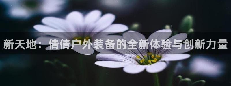 新宝gg手机版下载