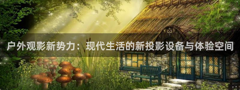 新宝gg辅助