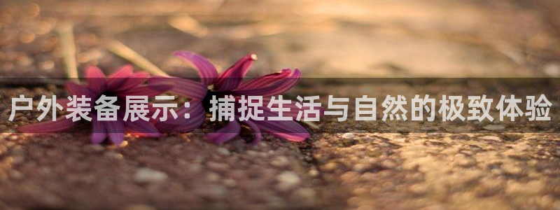 新宝gg怎样代理