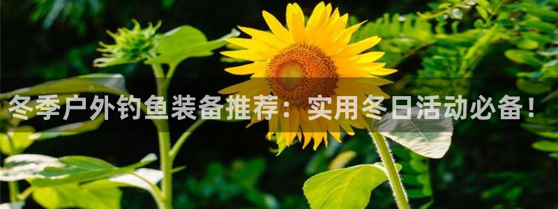新宝gg总部