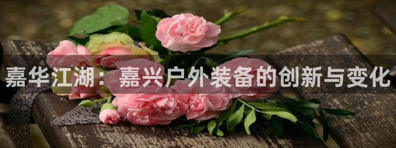 新宝gg网赚
