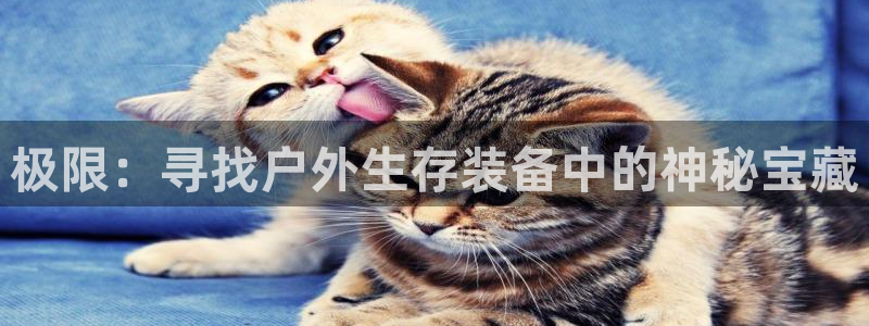 新宝gg主管48527