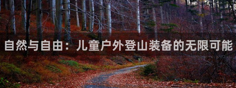 新宝gg论坛