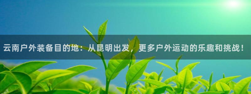 新宝gg如何做到总代理