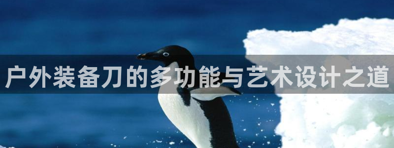 新浪新闻新宝gg