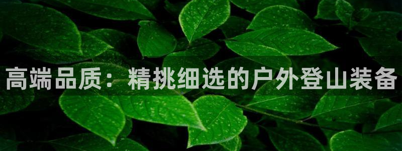 新宝gg龙虎规则