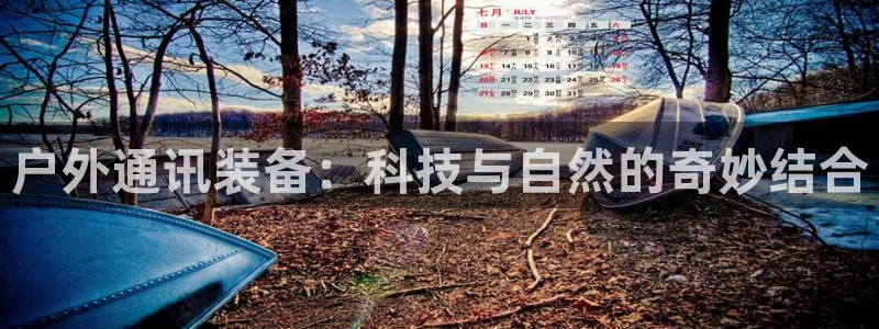 新宝gg注册 776317