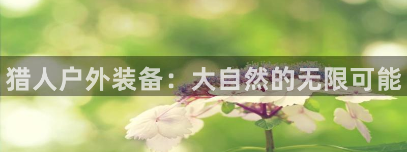 新宝gg如何注册登录