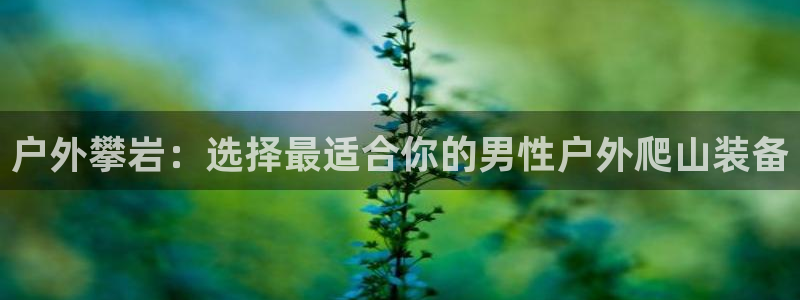 新宝gg创造奇迹登陆