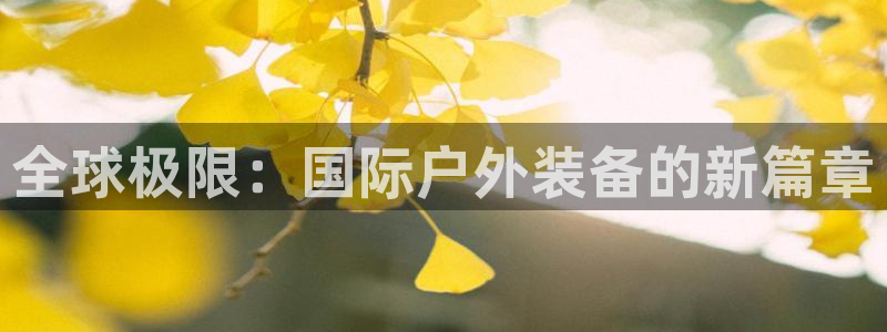 新宝 gg 下载