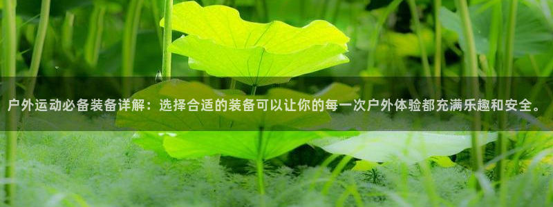 行新宝gg