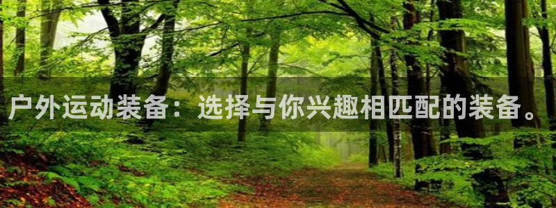新宝gg画