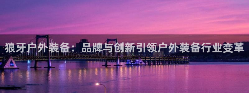 新宝gg娱乐官网