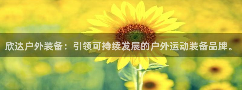 新宝gg登陆新