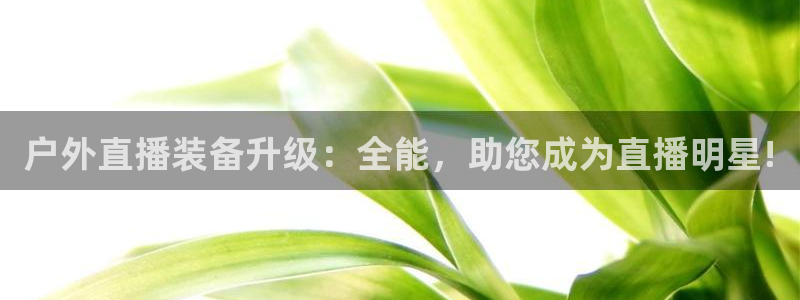 新宝gg网赚
