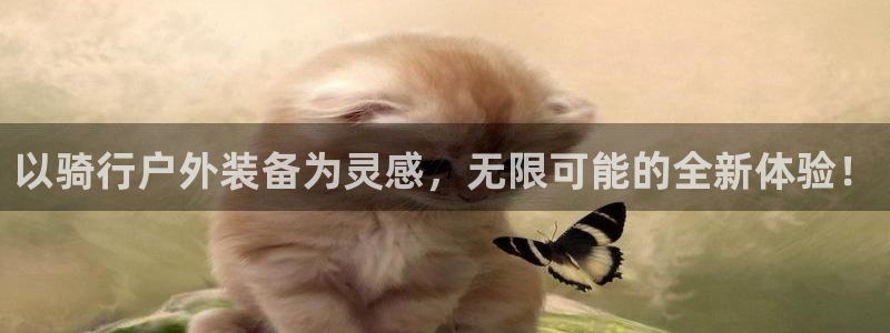 新宝gg娱乐怎么样