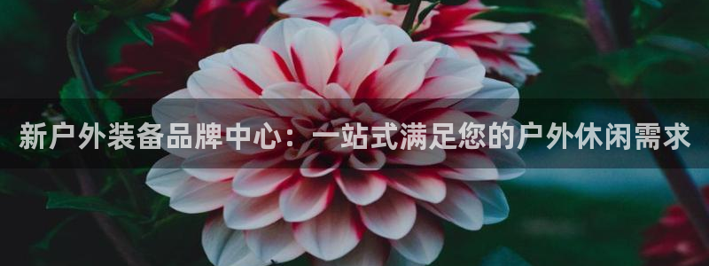 关于新宝GG