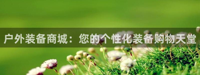 新宝gg真的