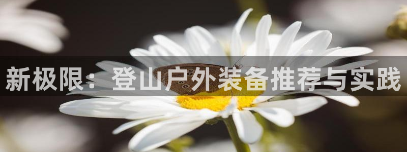 新宝gg开奖结果
