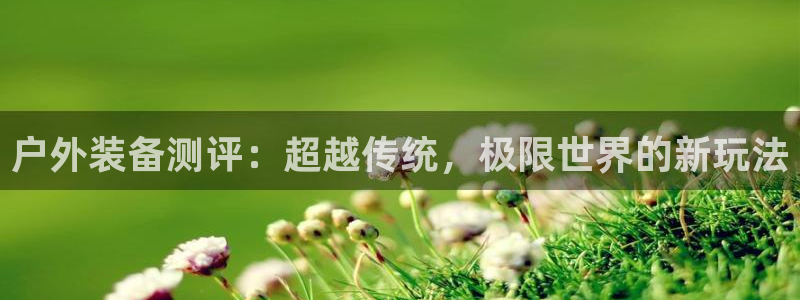 新宝gg返点