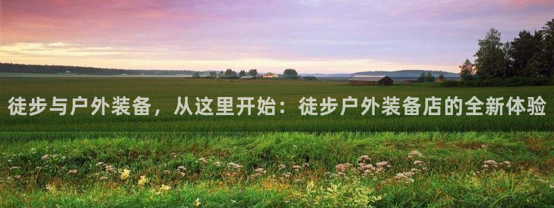 新宝GG用哪个网址登录