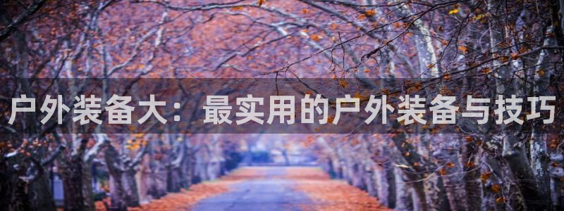 新宝gg代理登录