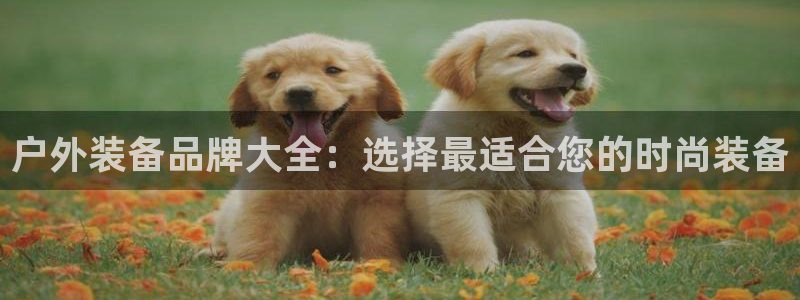 新宝gg专线