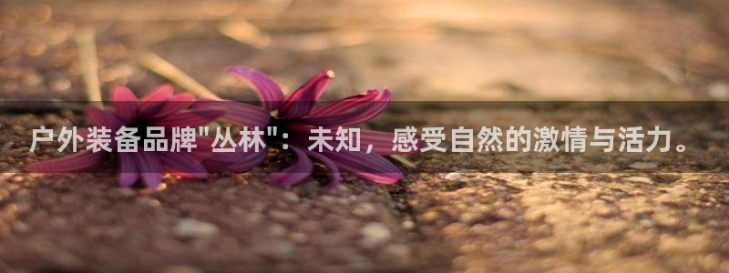 菲律宾新宝gg娱乐