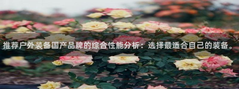 新宝GG桌面