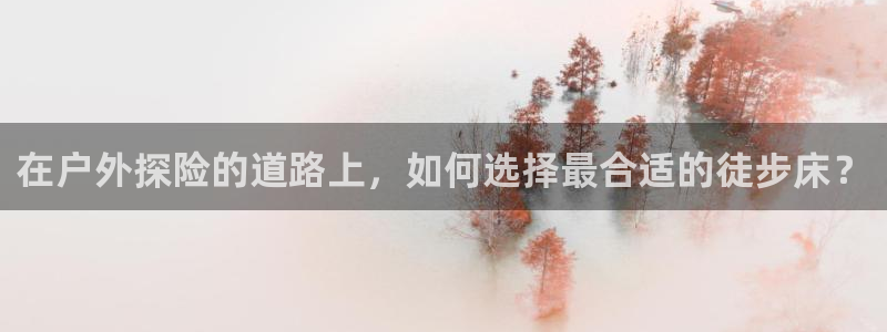 11新宝gg