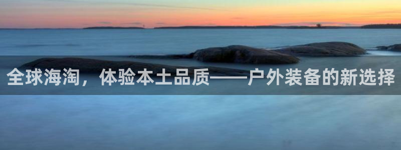 新宝gg挂机软件下载