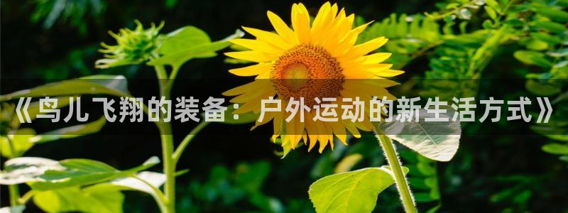 新宝GG娱乐下载