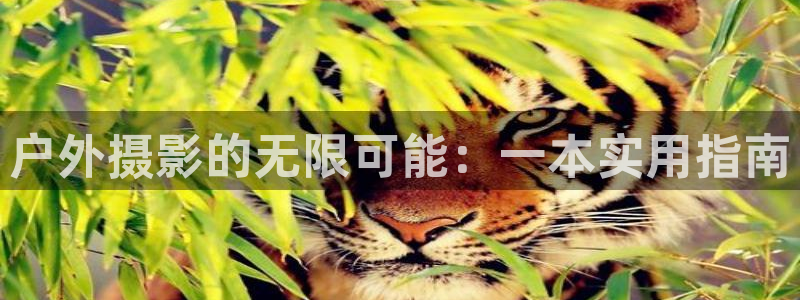 新宝gg注册cqdellar