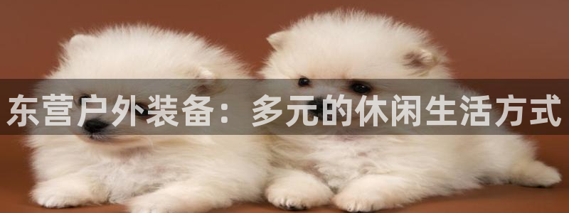 新宝gg返点1956是多少