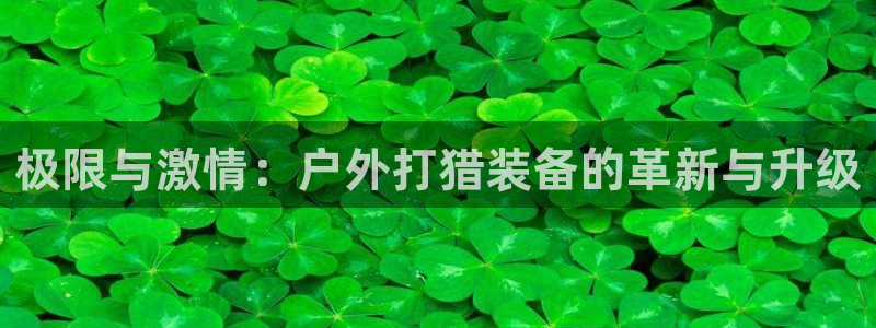 新宝6娱乐新宝gg