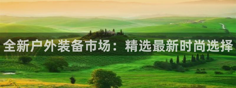 新宝gg怎么做代理