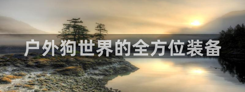 新宝gg平台下载安装