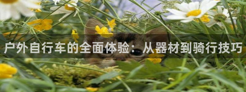 新宝gg新宝5注册