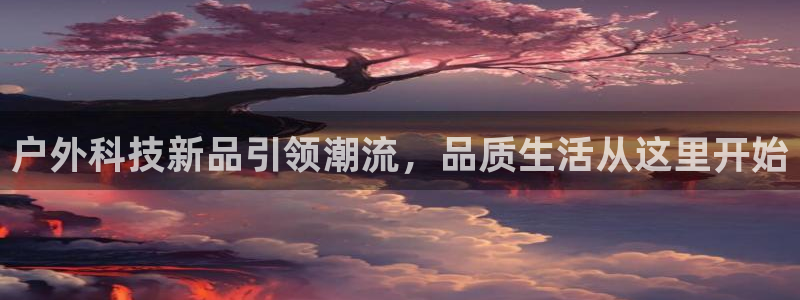 新宝gg用哪个浏览器