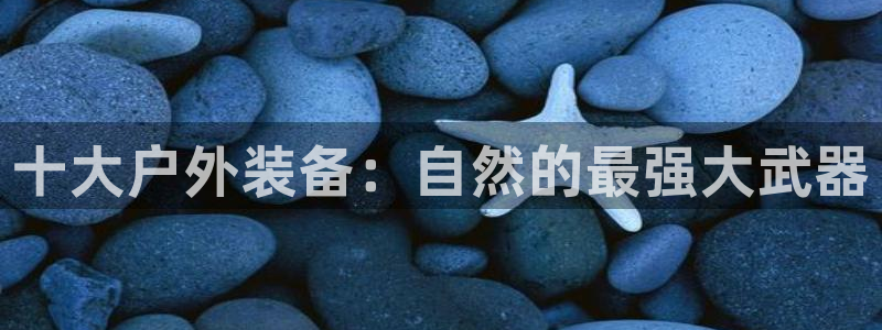 新宝gg注册q 26880