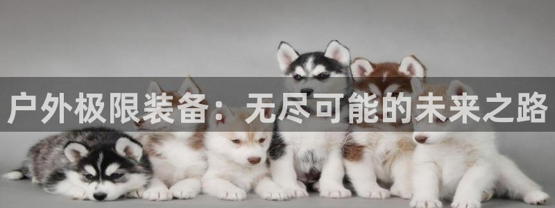 新宝gg平台开发