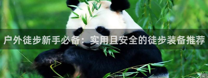 新浪新闻新宝gg